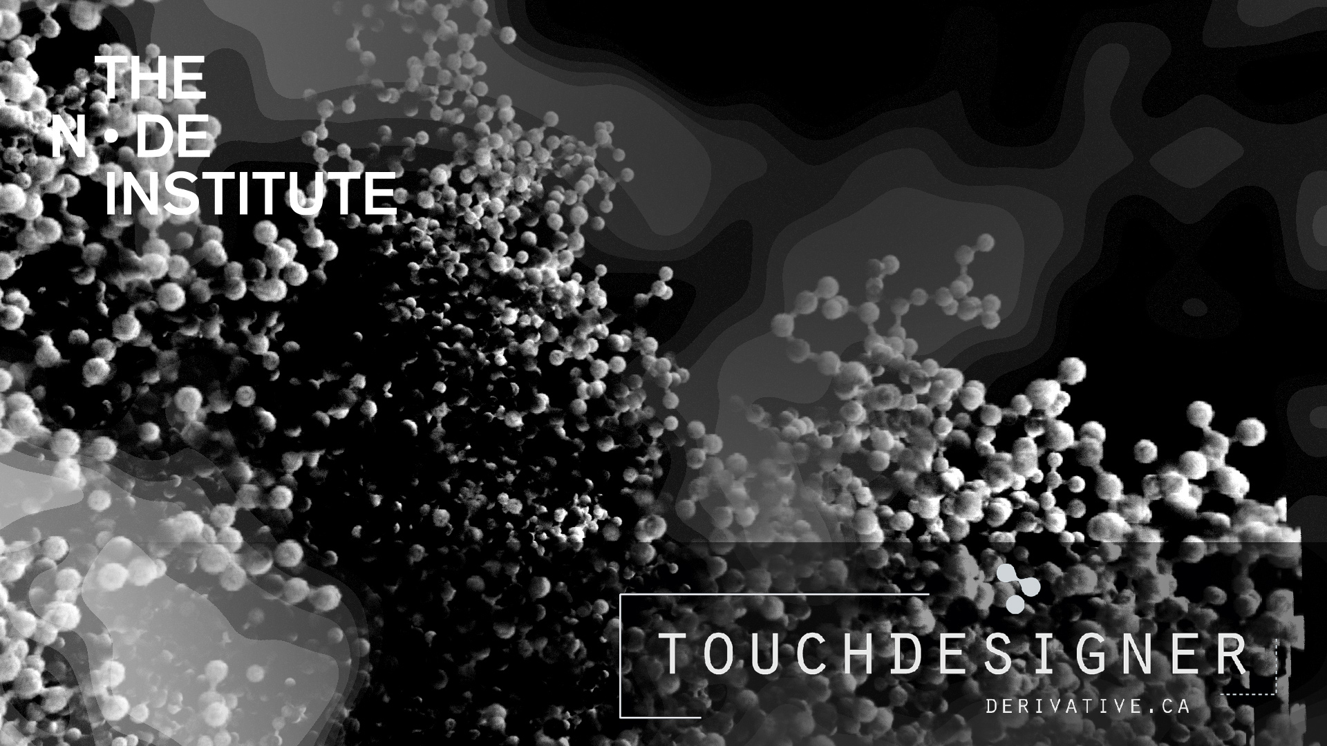 SS25 – TD – From Micro to Macro: Biological Data Visualization with ...